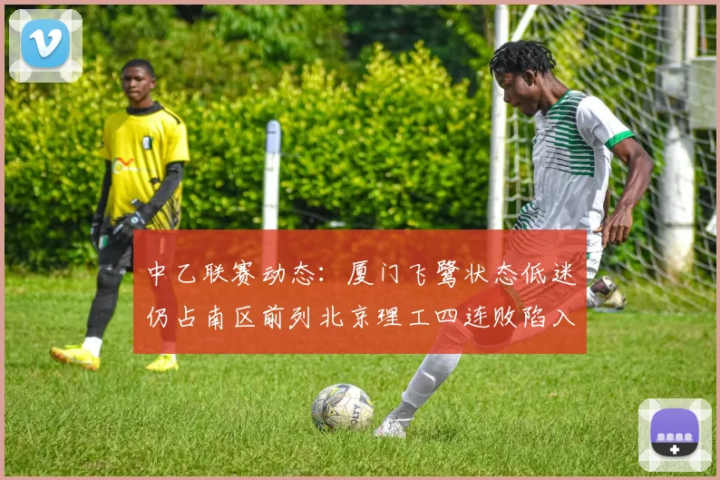 中乙联赛动态：厦门飞鹭状态低迷仍占南区前列北京理工四连败陷入困境
