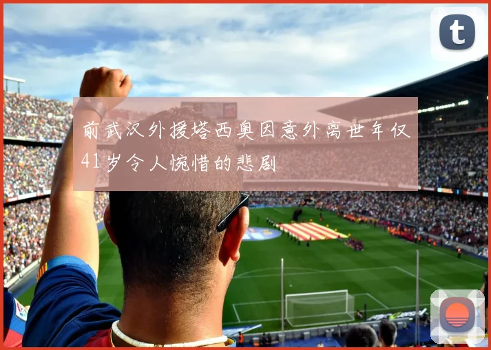 前武汉外援塔西奥因意外离世年仅41岁令人惋惜的悲剧